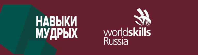 Read more about the article IV Региональный чемпионат «Навыки мудрых» в ГАПОУ СКСиПТ