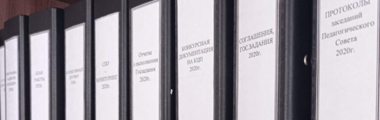 Read more about the article Главный документ колледжа
