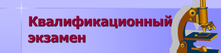 Read more about the article 