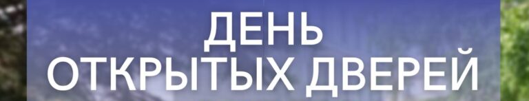 Read more about the article 