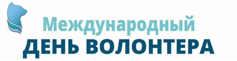 Read more about the article Сегодня 5 декабря в актовом зале СКСиПТ отметили День волонтёра России!