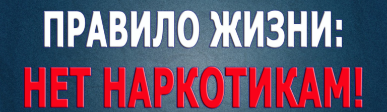 Read more about the article 