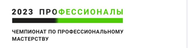 Read more about the article Роль чемпионатного движения в развитии колледжа.