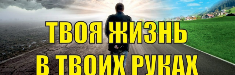 Read more about the article 