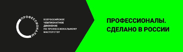 Read more about the article Итоговый (межрегиональный) этап чемпионата по профессиональному мастерству «Профессионалы»