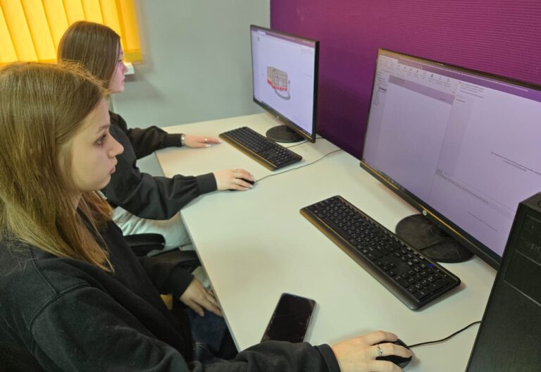 Read more about the article Старт регионально этапа чемпионата профессионального мастерства “Профессионалы”