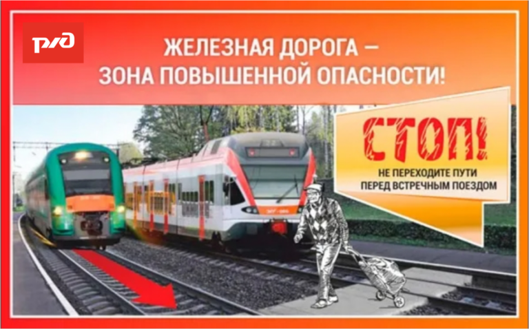 Read more about the article 